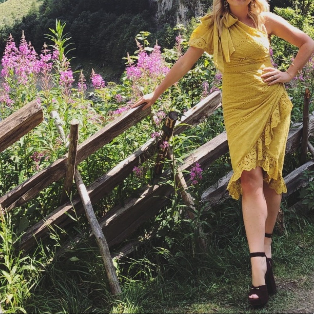 Ulla Johnson Gweneth Dress